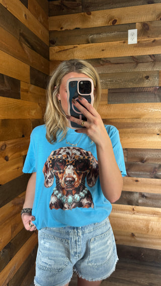 Dachshund Wearing Turquoise