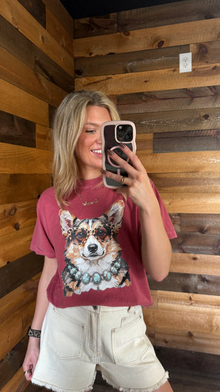 Corgi Wearing Turquoise Graphic Tee