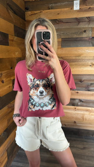 Corgi Wearing Turquoise Graphic Tee