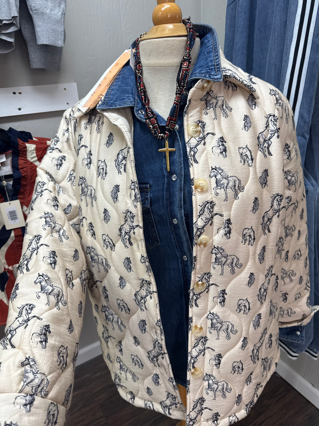 Button Front Puffy Jacket